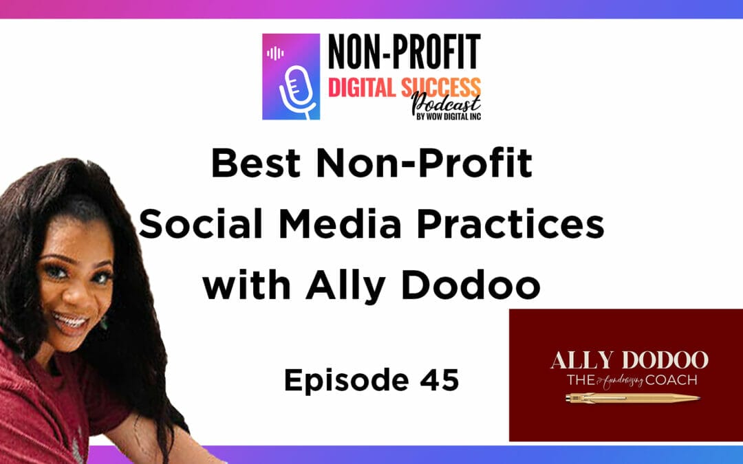 045 – Best Non-profit Social Media Practices with Ally Dodoo