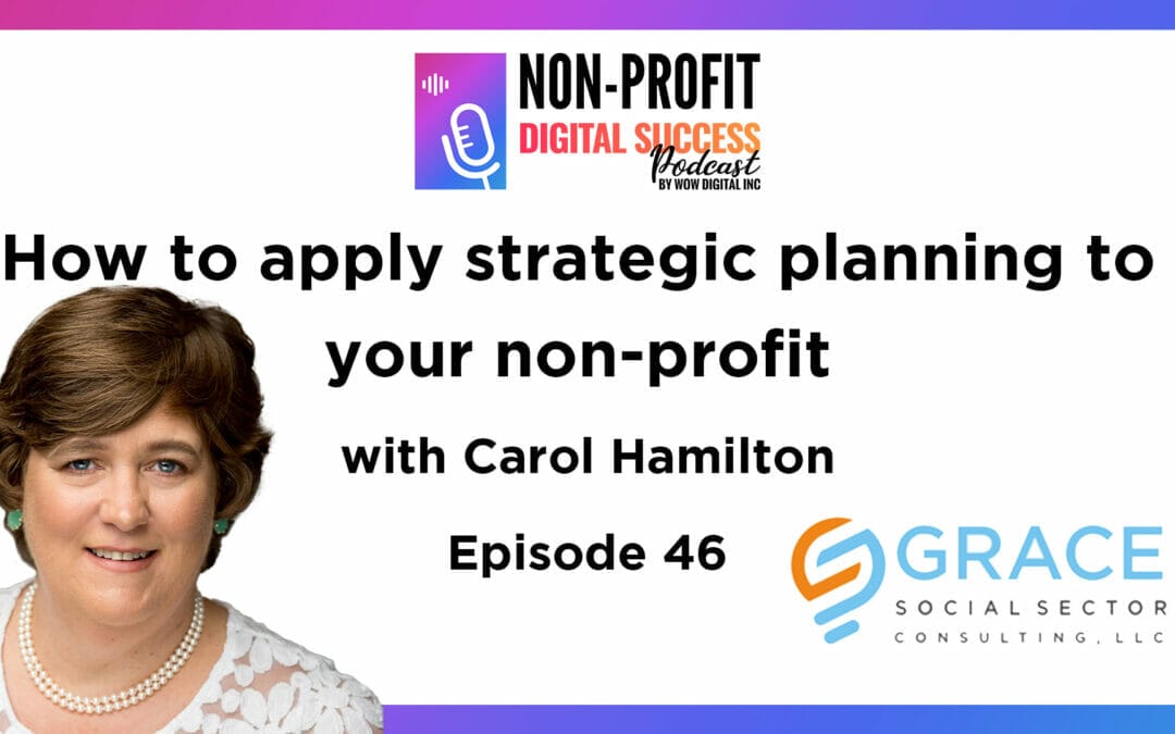 046 – How to apply strategic planning to your non-profit, with Carol Hamilton